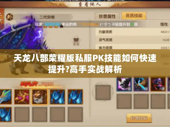 天龙八部荣耀版私服PK技能如何快速提升?高手实战解析