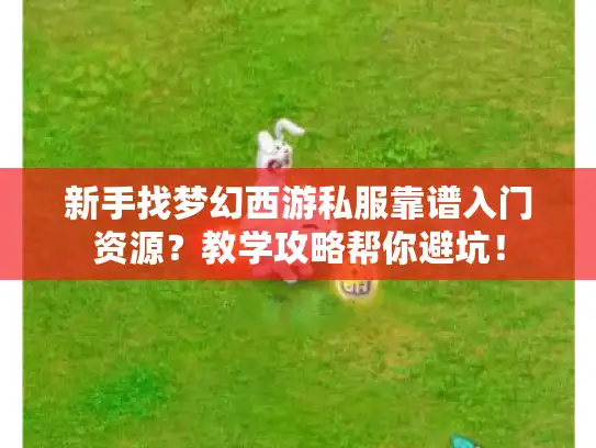 新手找梦幻西游私服靠谱入门资源？教学攻略帮你避坑！