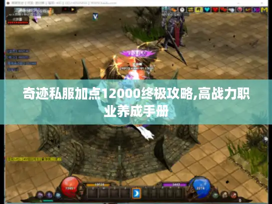 奇迹私服加点12000终极攻略,高战力职业养成手册
