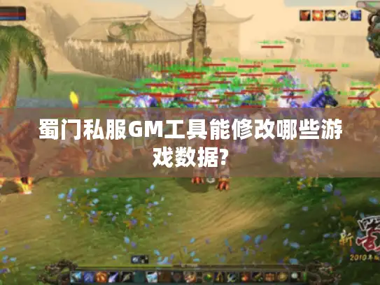 蜀门私服GM工具能修改哪些游戏数据?