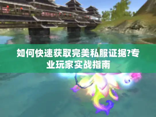 如何快速获取完美私服证据?专业玩家实战指南