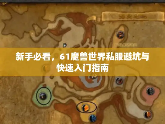新手必看，61魔兽世界私服避坑与快速入门指南