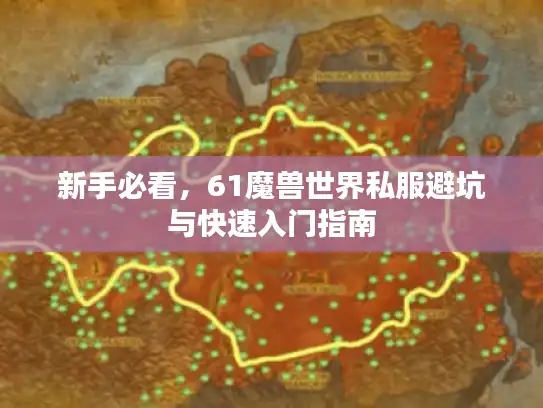 新手必看，61魔兽世界私服避坑与快速入门指南