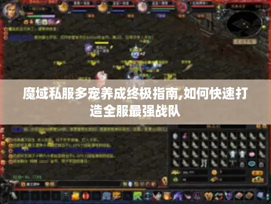 魔域私服多宠养成终极指南,如何快速打造全服最强战队