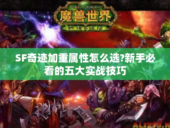 SF奇迹加重属性怎么选?新手必看的五大实战技巧 SF奇迹加重属性怎么选?新手必看的五大实战技巧