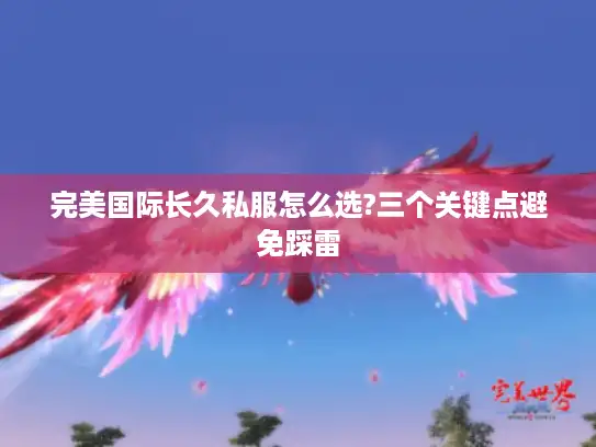 完美国际长久私服怎么选?三个关键点避免踩雷