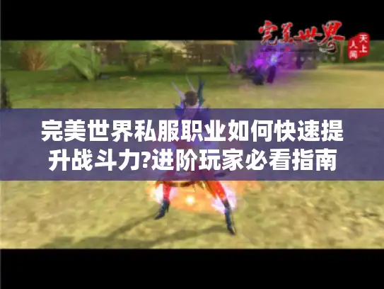 完美世界私服职业如何快速提升战斗力?进阶玩家必看指南