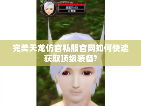 完美天龙仿官私服官网如何快速获取顶级装备?