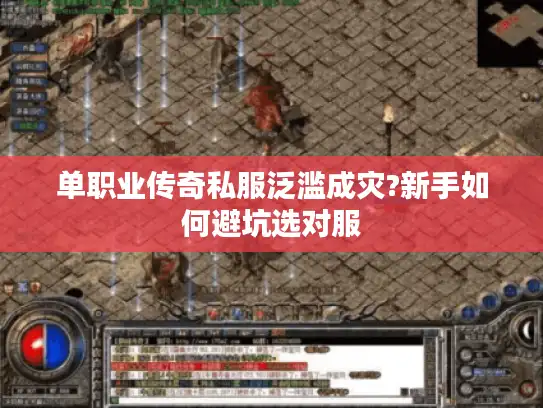 单职业传奇私服泛滥成灾?新手如何避坑选对服