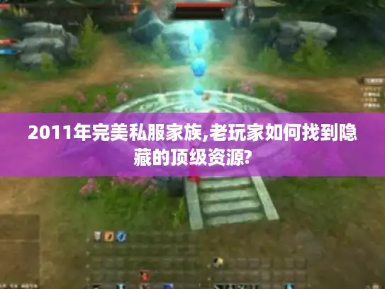2011年完美私服家族,老玩家如何找到隐藏的顶级资源?
