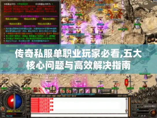 传奇私服单职业玩家必看,五大核心问题与高效解决指南
