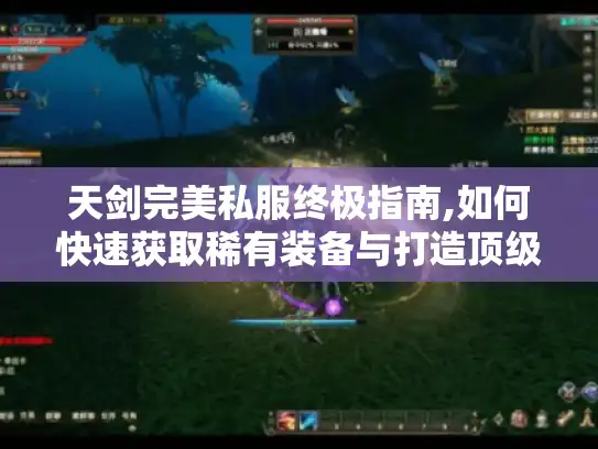 天剑完美私服终极指南,如何快速获取稀有装备与打造顶级角色?