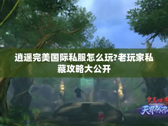 逍遥完美国际私服怎么玩?老玩家私藏攻略大公开