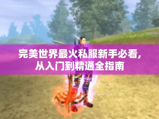 完美世界最火私服新手必看,从入门到精通全指南