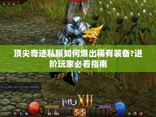 顶尖奇迹私服如何爆出稀有装备?进阶玩家必看指南