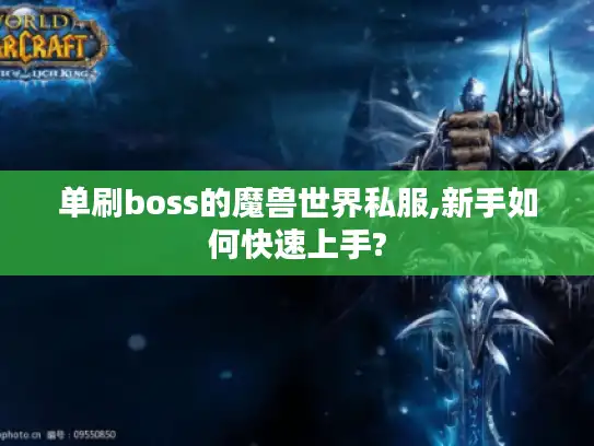 单刷boss的魔兽世界私服,新手如何快速上手?