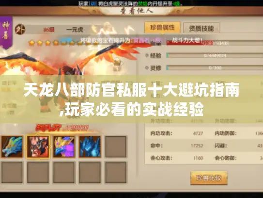 天龙八部防官私服十大避坑指南,玩家必看的实战经验