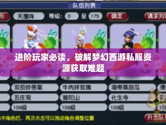 进阶玩家必读，破解梦幻西游私服资源获取难题