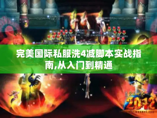 完美国际私服洗4减脚本实战指南,从入门到精通