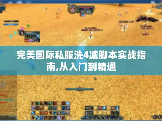 完美国际私服洗4减脚本实战指南,从入门到精通