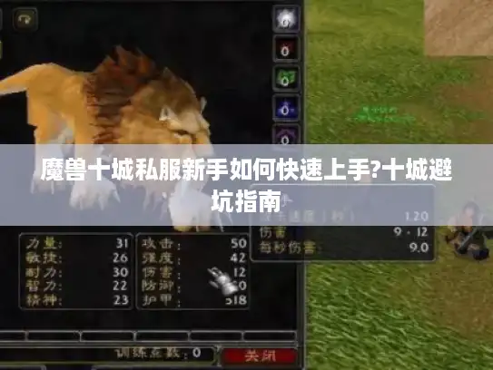 魔兽十城私服新手如何快速上手?十城避坑指南 魔兽十城私服新手如何快速上手?十城避坑指南