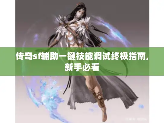 传奇sf辅助一键技能调试终极指南,新手必看