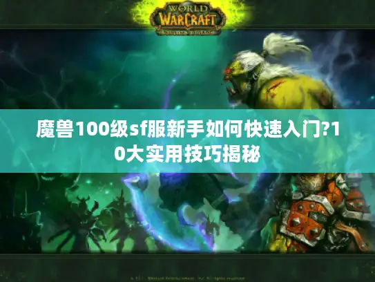 魔兽100级sf服新手如何快速入门?10大实用技巧揭秘