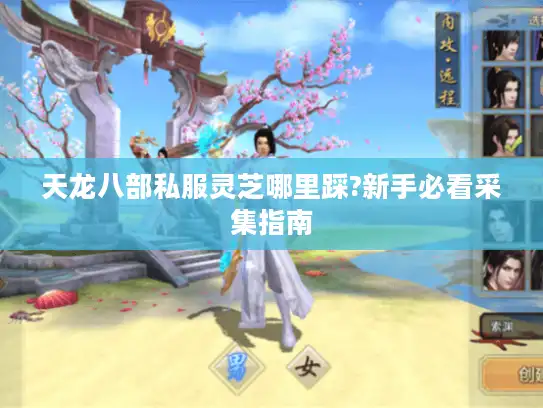 天龙八部私服灵芝哪里踩?新手必看采集指南