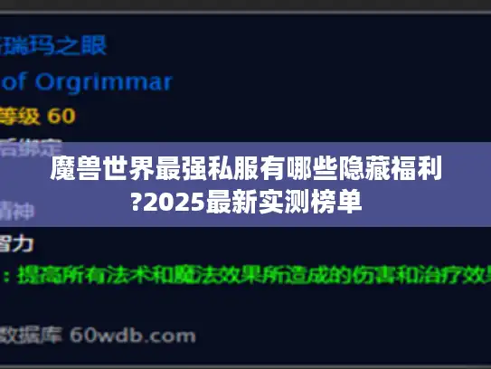 魔兽世界最强私服有哪些隐藏福利?2025最新实测榜单