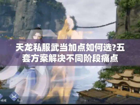 天龙私服武当加点如何选?五套方案解决不同阶段痛点 天龙私服武当加点如何选?五套方案解决不同阶段痛点