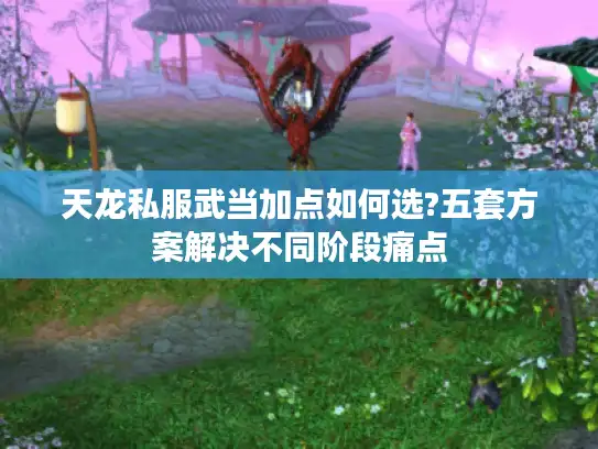 天龙私服武当加点如何选?五套方案解决不同阶段痛点 天龙私服武当加点如何选?五套方案解决不同阶段痛点