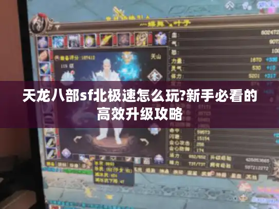 天龙八部sf北极速怎么玩?新手必看的高效升级攻略