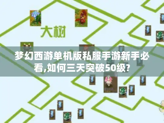 梦幻西游单机版私服手游新手必看,如何三天突破50级?