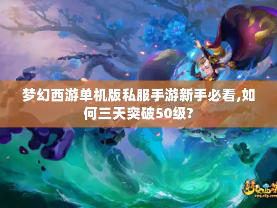 梦幻西游单机版私服手游新手必看,如何三天突破50级?