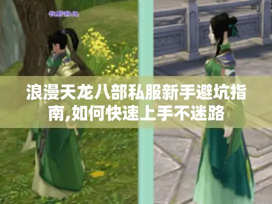 浪漫天龙八部私服新手避坑指南,如何快速上手不迷路