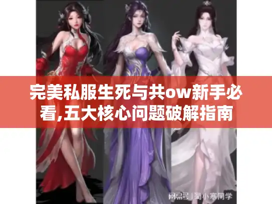 完美私服生死与共ow新手必看,五大核心问题破解指南