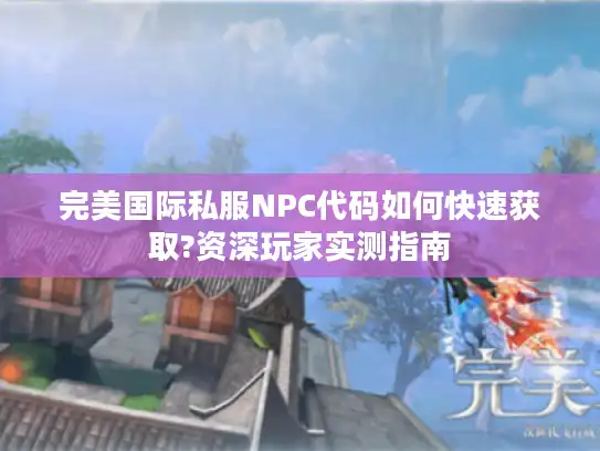 完美国际私服NPC代码如何快速获取?资深玩家实测指南