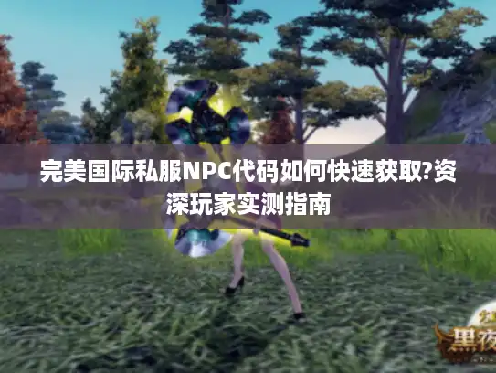 完美国际私服NPC代码如何快速获取?资深玩家实测指南