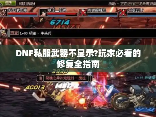 DNF私服武器不显示?玩家必看的修复全指南