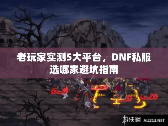 老玩家实测5大平台，DNF私服选哪家避坑指南