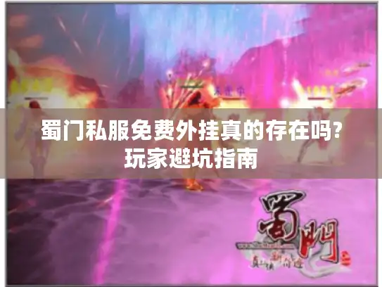 蜀门私服免费外挂真的存在吗?玩家避坑指南