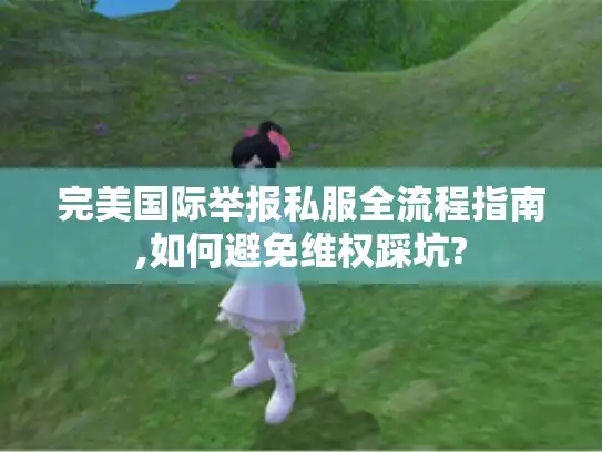 完美国际举报私服全流程指南,如何避免维权踩坑?
