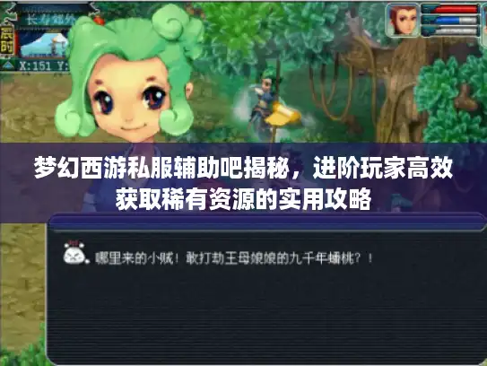 梦幻西游私服辅助吧揭秘,进阶玩家高效获取稀有资源的实用攻略 梦幻西游私服辅助吧揭秘,进阶玩家高效获取稀有资源的实用攻略
