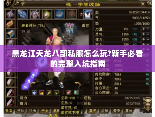 黑龙江天龙八部私服怎么玩?新手必看的完整入坑指南