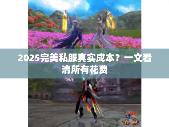 2025完美私服真实成本？一文看清所有花费