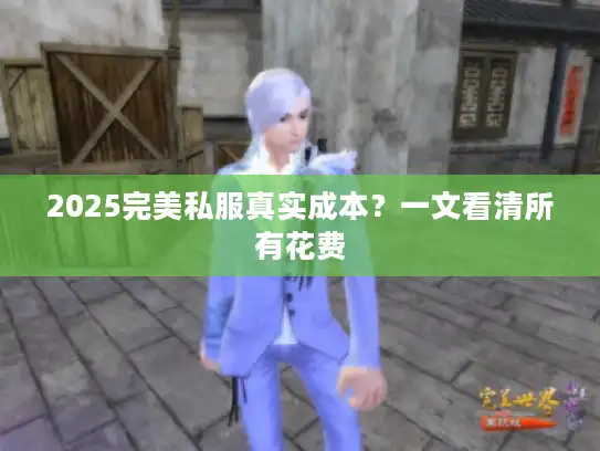 2025完美私服真实成本？一文看清所有花费