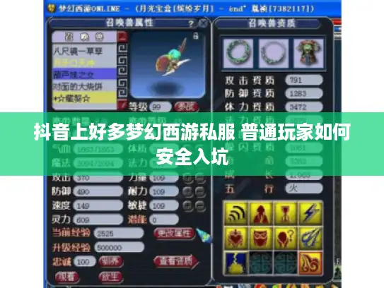 抖音上好多梦幻西游私服 普通玩家如何安全入坑