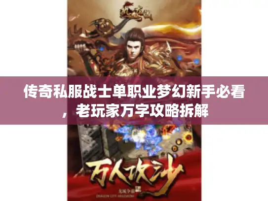 传奇私服战士单职业梦幻新手必看，老玩家万字攻略拆解