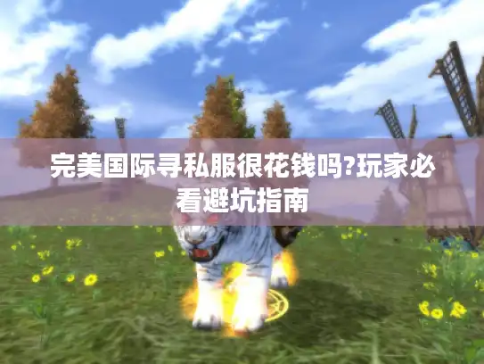 完美国际寻私服很花钱吗?玩家必看避坑指南