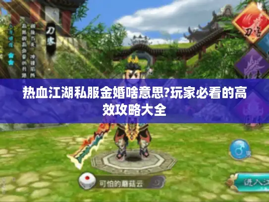 热血江湖私服金婚啥意思?玩家必看的高效攻略大全